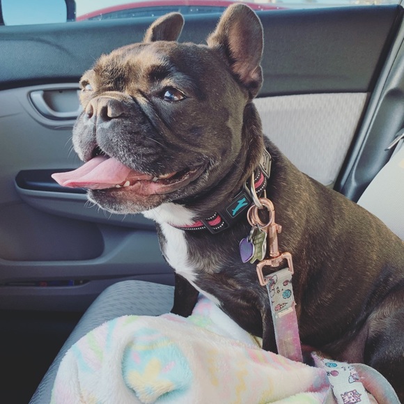 CLICK TO READ A LITTLE ABOUT ME & MY POSH JOURNEY - Picture 5 of 7